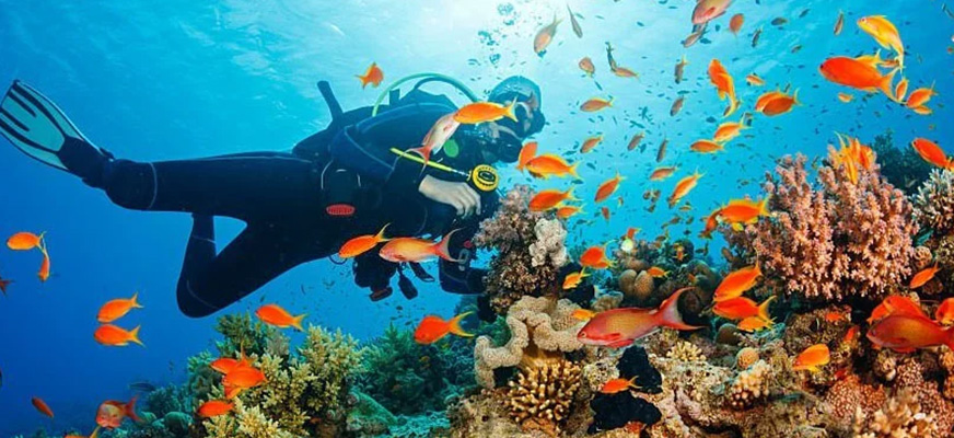 Andaman View