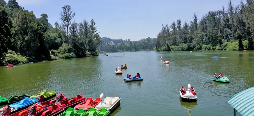 Mysore Ooty Coorg View